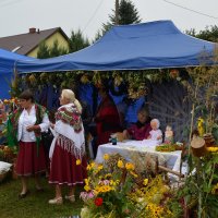 Zobacz w powiększeniu: Dożynki Powiatowe Baranów 2021 (19)